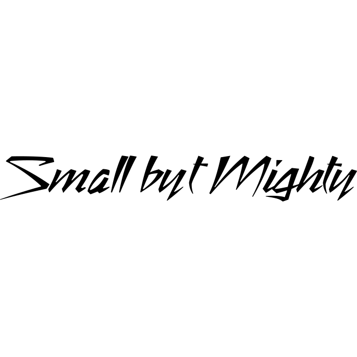 Small but Mighty (Unisex Hoodie)